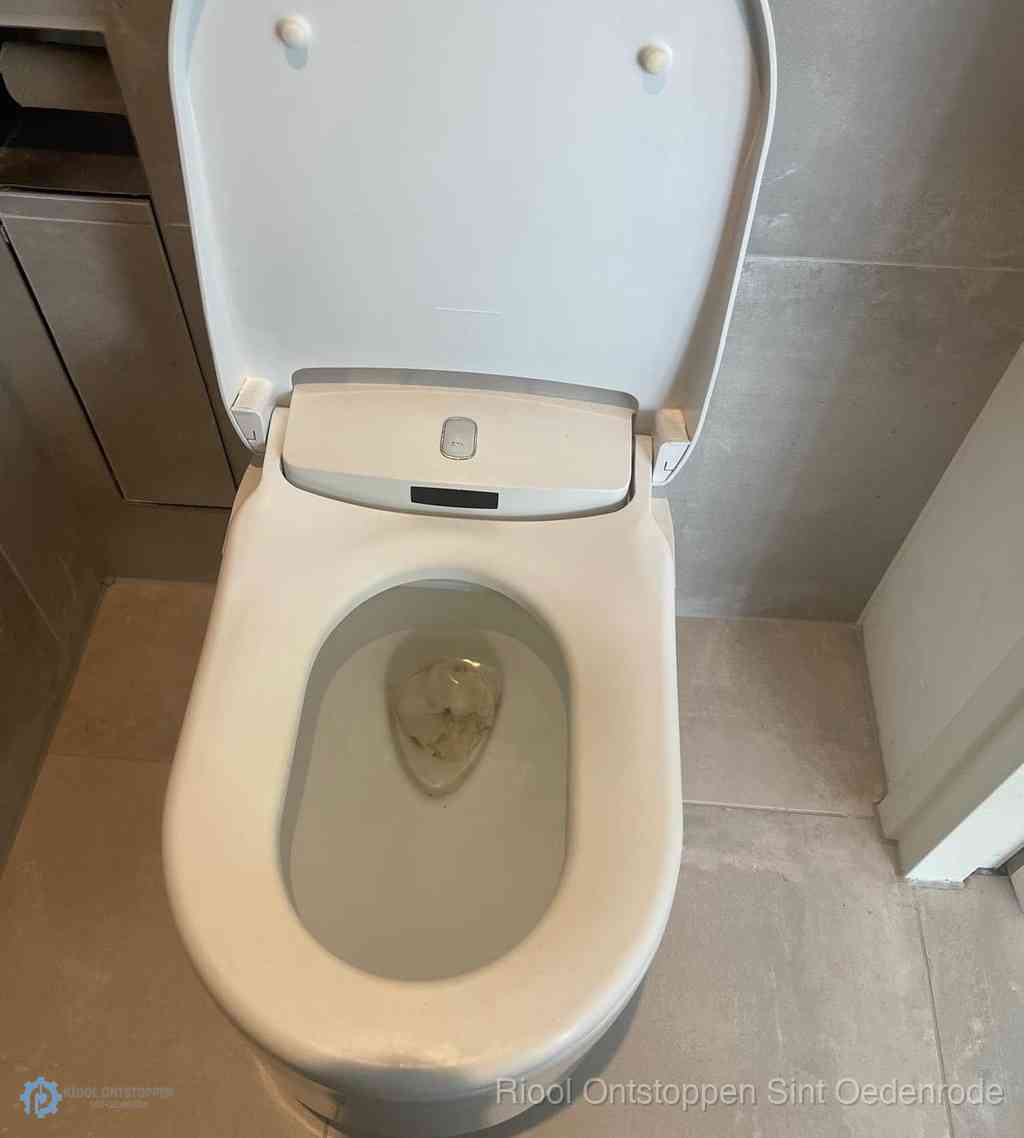 Toilet Ontstoppen Sint Oedenrode Toilet Ontstoppen Sint Oedenrode